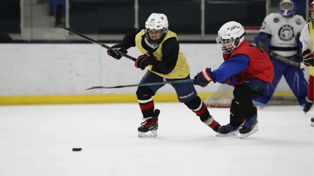 202510新横セレクション